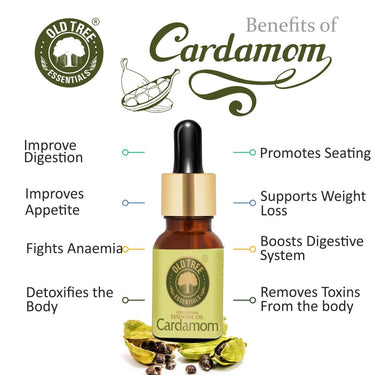 Old Tree Cardamom (Elaichi) Essential Oil (15ml) - For Skin, Hair Care, Fragrance, Soap Making, and Aromatherapy - Pure, Natural and Undiluted Perfume Oil with Glass Dropper
